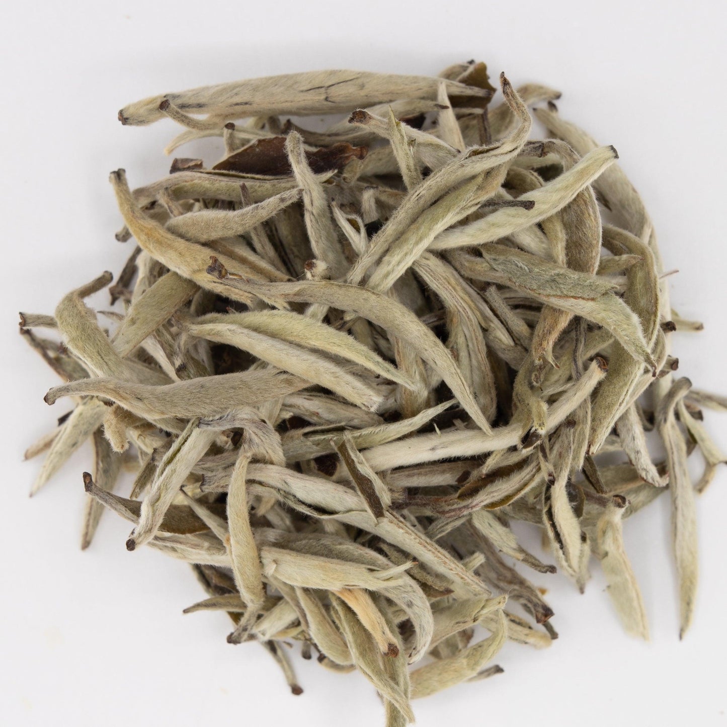 Silver Needles - English Tealeaves