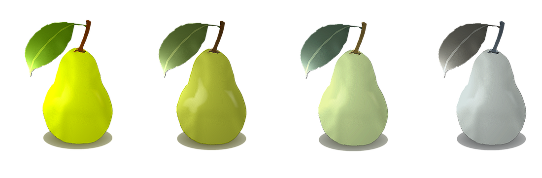 Image of four pears ranging in color from light green to white