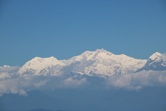 The Soul of the Sip: Understanding the Terroir of India's Top Three Tea Growing Regions