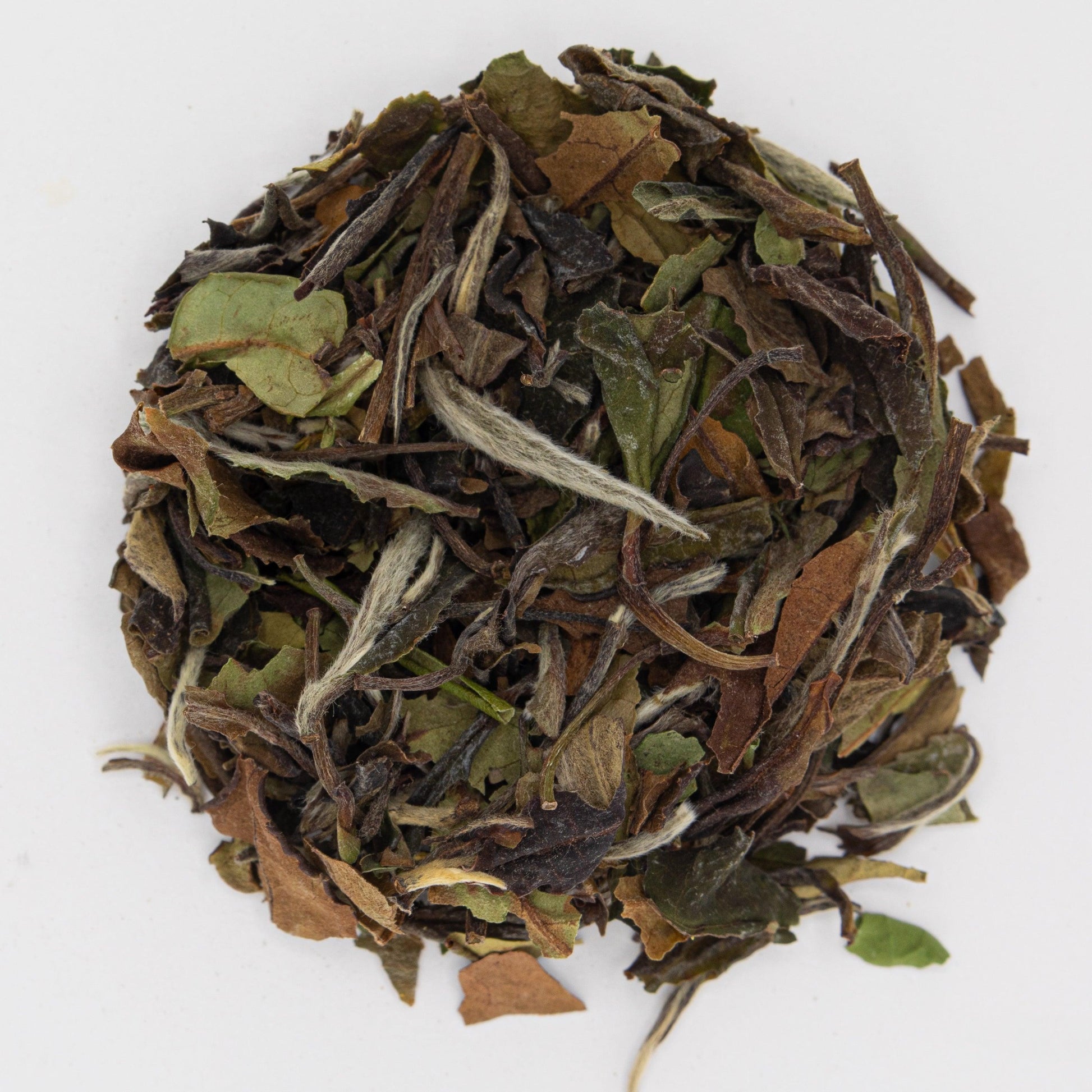 White Peony - English Tealeaves